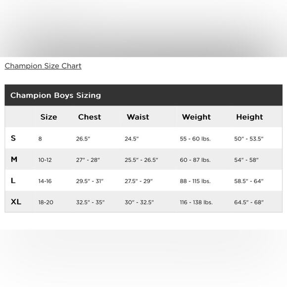 Champion® Script Graphic Hoodie - Picture 7 of 7